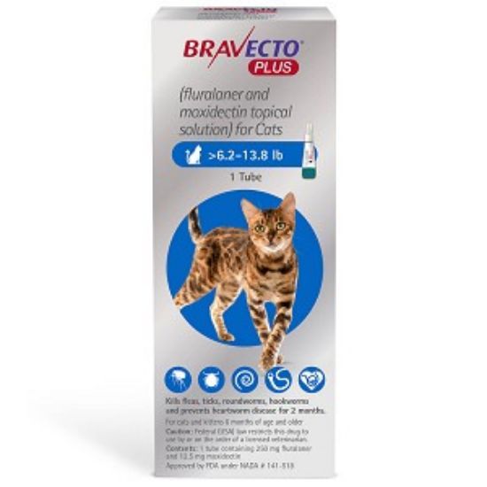 Poza cu Bravecto plus pipeta spot on pentru pisica 2,8 - 6,85 kg 250 mg