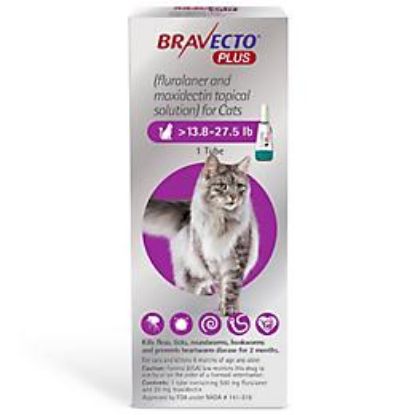 Poza cu Bravecto plus pipeta spot on pentru pisica 6,25-12,5 kg 500 mg