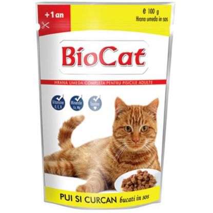 Poza cu Plic Bio cat pisica pui si curcan 100 g