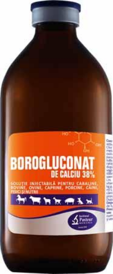 Poza cu BOROGLUCONAT DE CALCIU 38% 100 ML