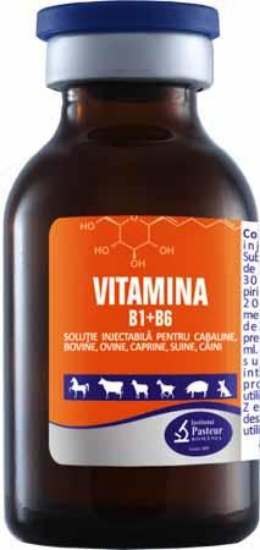 Poza cu VITAMINA B1+B6 20 ML