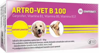 Poza cu ARTRO–VET B 100 mg cutie 100 cp