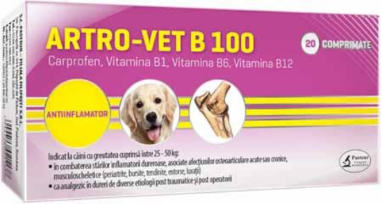 Poza cu ARTRO–VET B 100 mg cutie 100 cp