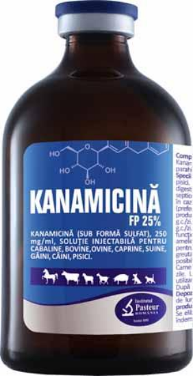 Poza cu KANAMICINA FP 25%