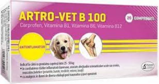 Poza cu ARTRO–VET B 100 cutie 100 buc