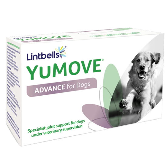 Poza cu  YUMOVE ADVANCE 360 FOR DOGS 120 TB