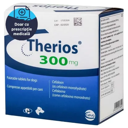 Poza cu THERIOS 300 MG, capsula la bucata