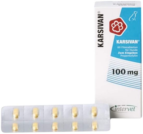 Poza cu Karsivan 100 mg, comprimate pentru câini, cutie de 60 pastile