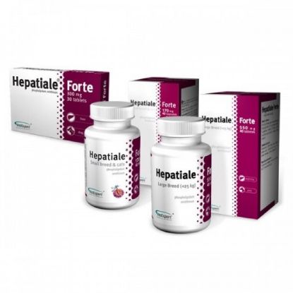 Poza cu HEPATIALE FORTE LARGE BREED 550MG - 40 TABLETE