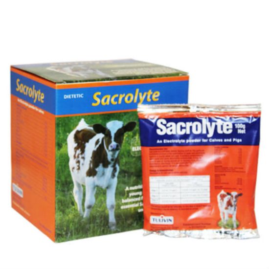 Poza cu  Sacrolyte Sachet 100g