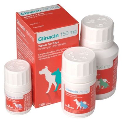 Poza cu CLINACIN 150 MG*  1 tableta