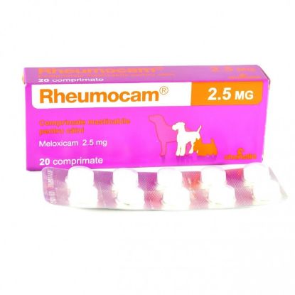 Poza cu Rheumocam 2.5 mg 1 cutie (20 de comprimate)